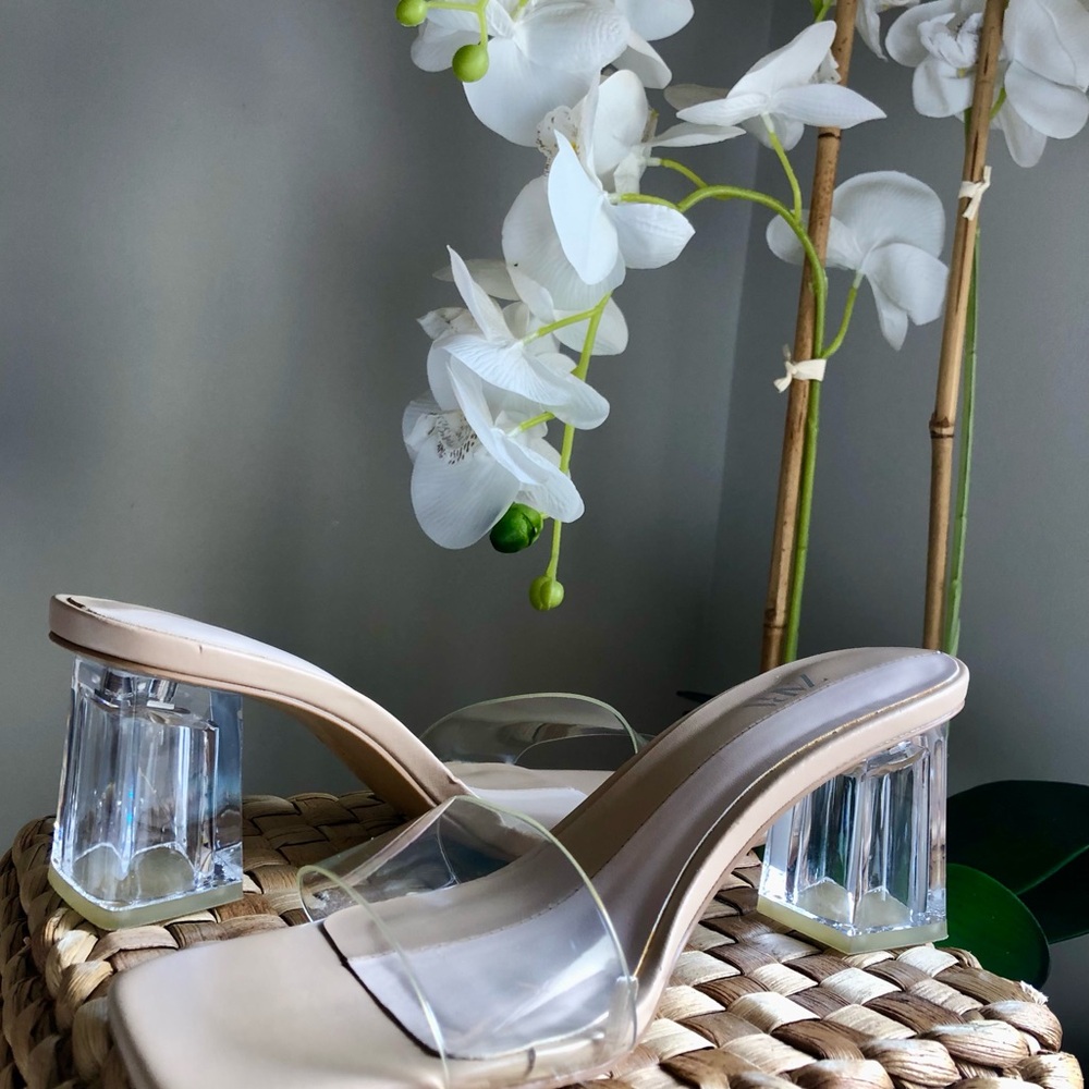 Zara Clear Strap Mules with Lucite Block Heels - Nude